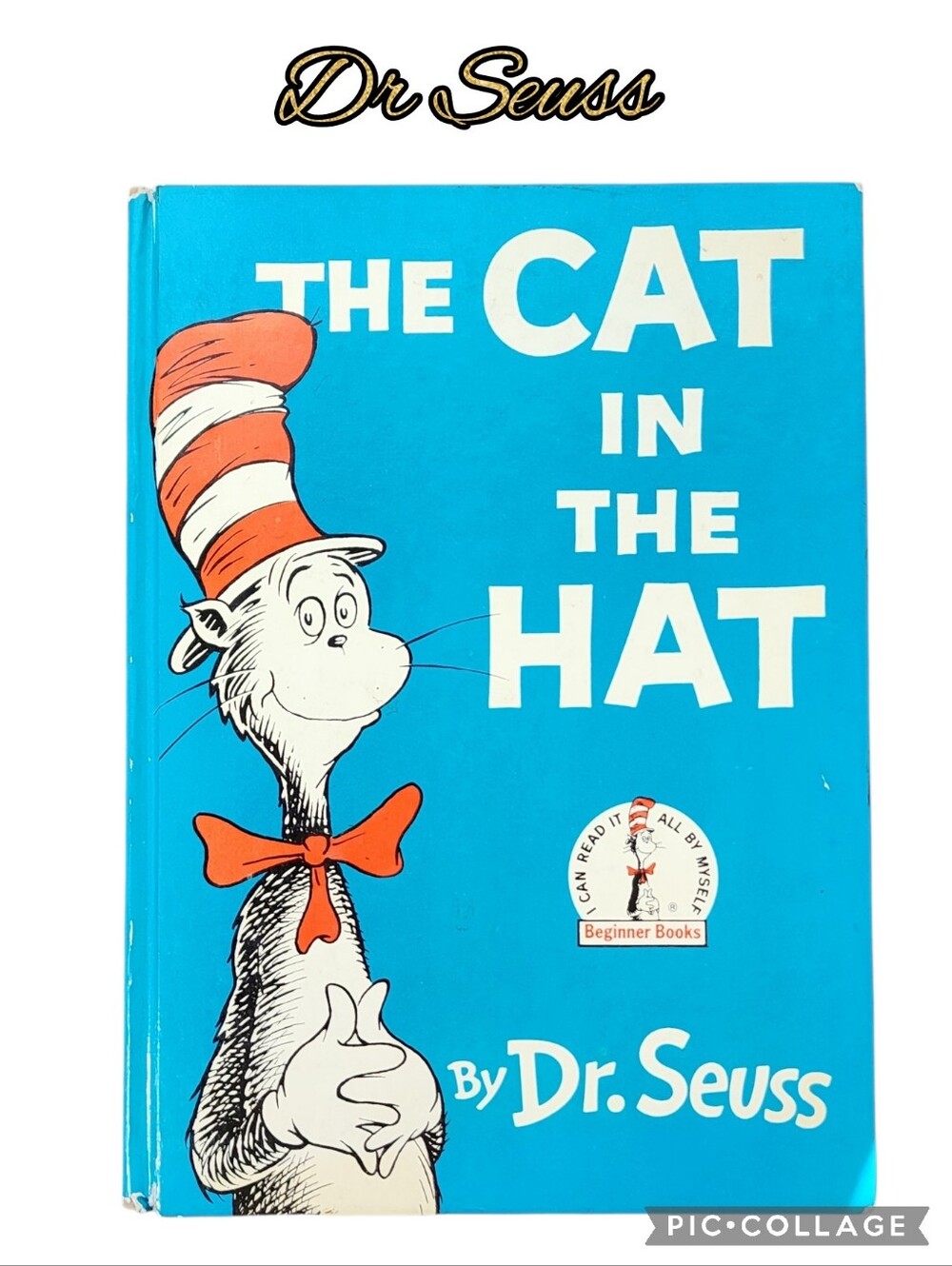 Dr Seuss The Cat in The Hat most loved childrens book hardcover colorful fun